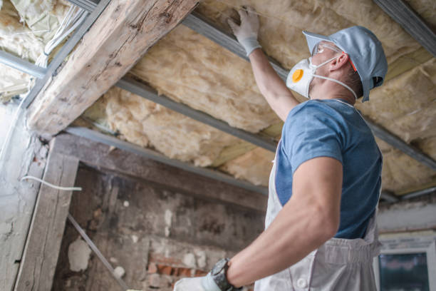 Best Specialized Insulation Services in Vass, NC