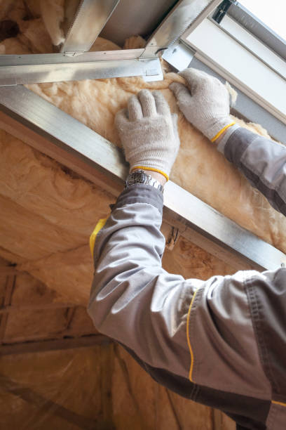 Best Eco-Friendly Insulation in Vass, NC
